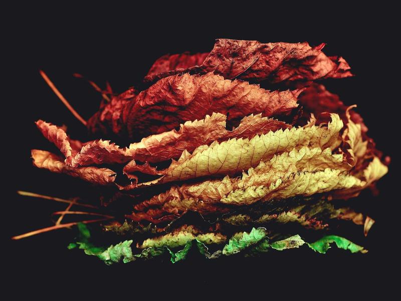 印度阶梯井<br>kclfxfu.cn 月亮水井倒影